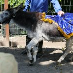 phoca_thumb_m_horeky  46 Fotogalerie